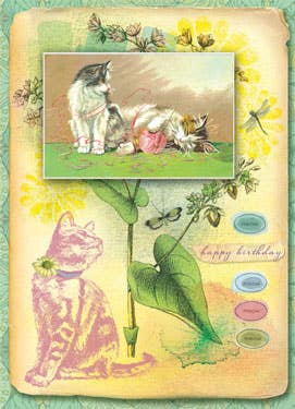 Kittens Birthday Greeting Card