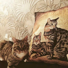 Load image into Gallery viewer, Decorative Gobelin Egyptian Cats Tapestry Pillow Cover