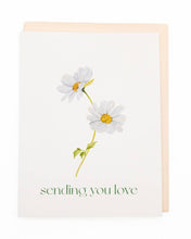 Load image into Gallery viewer, &#39;Daisy Hug&#39; Flower Sympathy Greeting Card