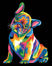 Load image into Gallery viewer, Colorful French Bulldog Paint by Numbers Canvas Kit