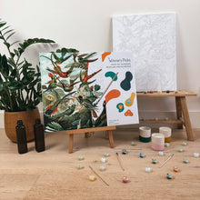 Load image into Gallery viewer, Hummingbirds, by Ernst Haeckel Paint by Numbers Canvas Board Kit