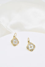 Load image into Gallery viewer, Golden Abalone Stainless Steel Star Earrings