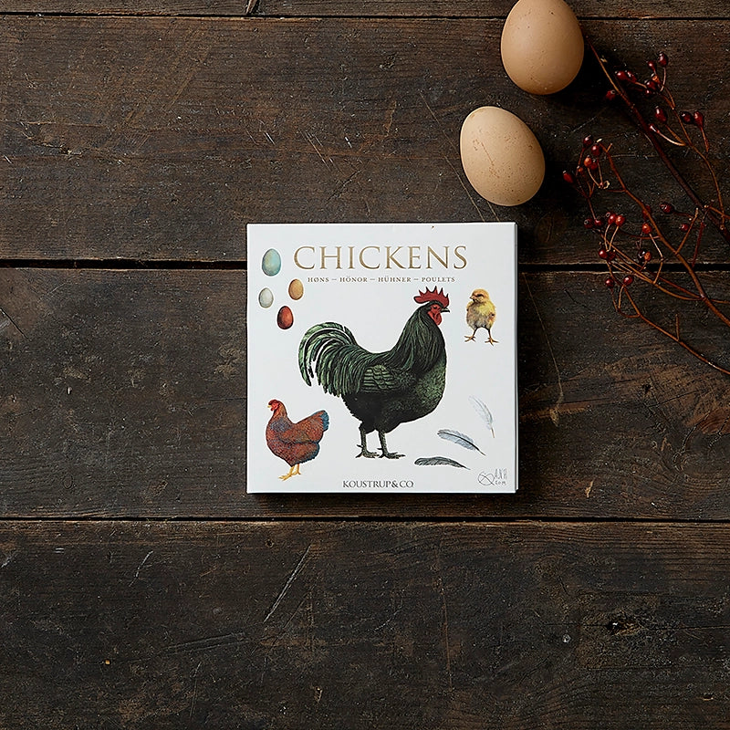 Chickens Square Cards - 8 Quality Cards