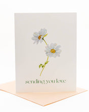 Load image into Gallery viewer, &#39;Daisy Hug&#39; Flower Sympathy Greeting Card