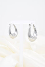 Load image into Gallery viewer, Silver Stainless Steel Earrings