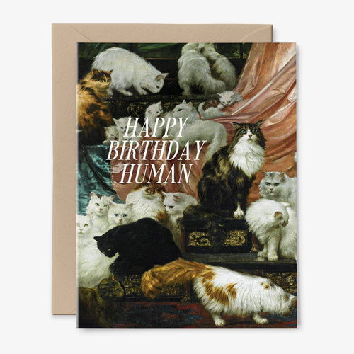 Happy Birthday Human | Cat Card